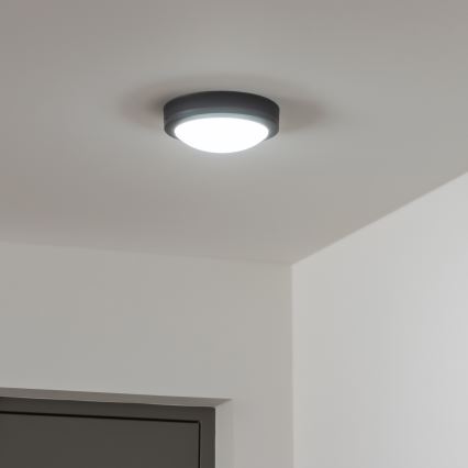 Brilagi - Εξωτερικό οροφής φωτιστικό LED/13W/230V διάμ. 17 εκ. IP54 ανθρακί