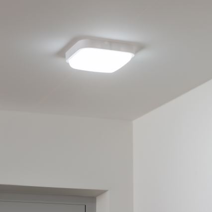 Brilagi - LED Επιτοίχιο φωτιστικό εξωτερικού χώρου LED/20W/230V IP54