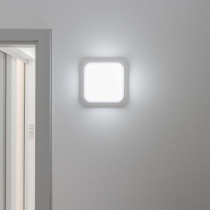 Brilagi - LED Επιτοίχιο φωτιστικό εξωτερικού χώρου LED/20W/230V IP54