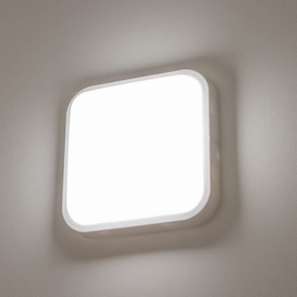 Brilagi - LED Επιτοίχιο φωτιστικό εξωτερικού χώρου LED/20W/230V IP54