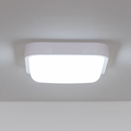 Brilagi - LED Επιτοίχιο φωτιστικό εξωτερικού χώρου LED/20W/230V IP54