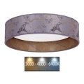 Brilagi - LED Οροφιαίο Φωτιστικό VELVET LED/24W/230V διάμ. 40 εκ. 3000/4000/6400K γκρι/χρυσό