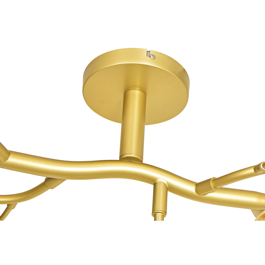 Brilagi - LED Πλαφονιέρα οροφής MISTEL 15xG9/3W/230V χρυσό