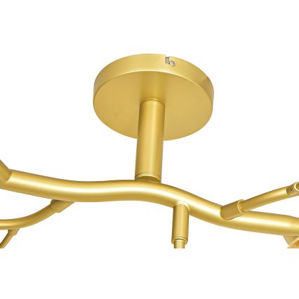 Brilagi - LED Πλαφονιέρα οροφής MISTEL 15xG9/3W/230V χρυσό/λευκό