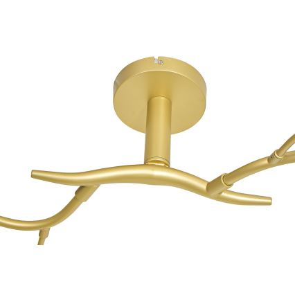 Brilagi - LED Πλαφονιέρα οροφής MISTEL 6xG9/3W/230V χρυσό/λευκό