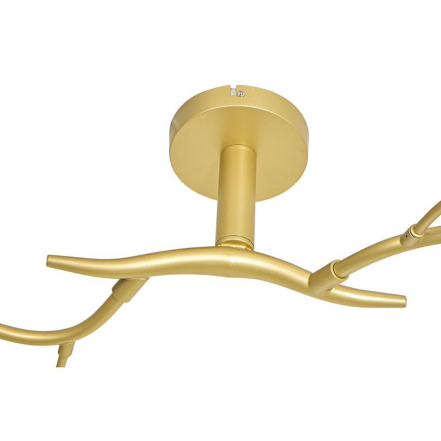 Brilagi - LED Πλαφονιέρα οροφής MISTEL 6xG9/3W/230V χρυσό/λευκό