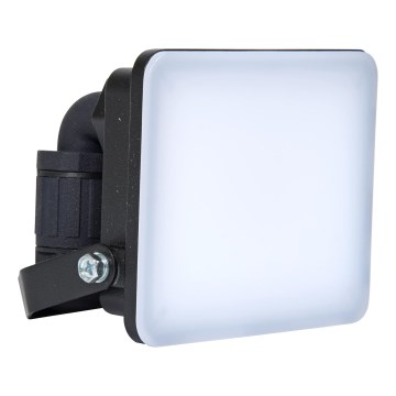 Brilagi - LED Προβολέας ELARA PRO LED/10W/230V IP65
