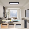 Brilagi - LED Ρυθμιζόμενο φωτιστικό οροφής FRAME SMART LED/30W/230V 30x60 cm 3000-6000K IP44 μαύρο + τηλεχειριστήριο