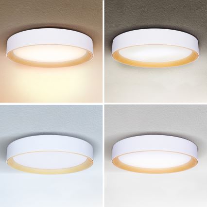 Brilagi - LED Dimmable φωτιστικό οροφής LARIOS LED/60W/230V 3000-6500K ø 49 cm λευκό + τηλεχειριστήριο
