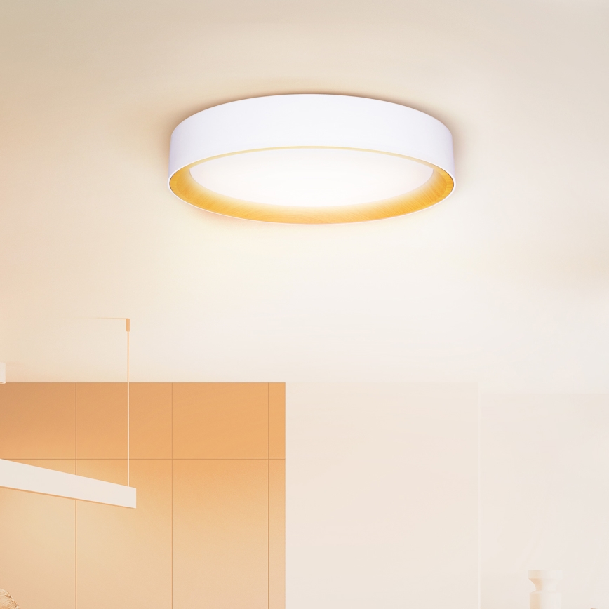 Brilagi - LED Dimmable φωτιστικό οροφής LARIOS LED/60W/230V 3000-6500K ø 49 cm λευκό + τηλεχειριστήριο