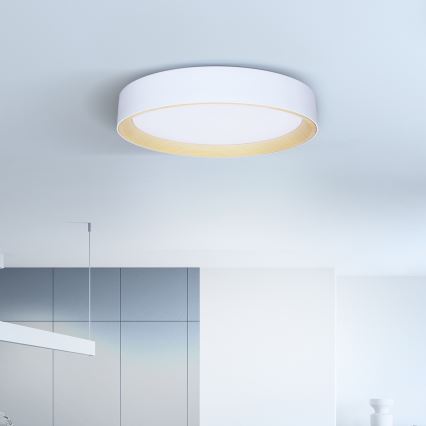 Brilagi - LED Dimmable φωτιστικό οροφής LARIOS LED/60W/230V 3000-6500K ø 49 cm λευκό + τηλεχειριστήριο
