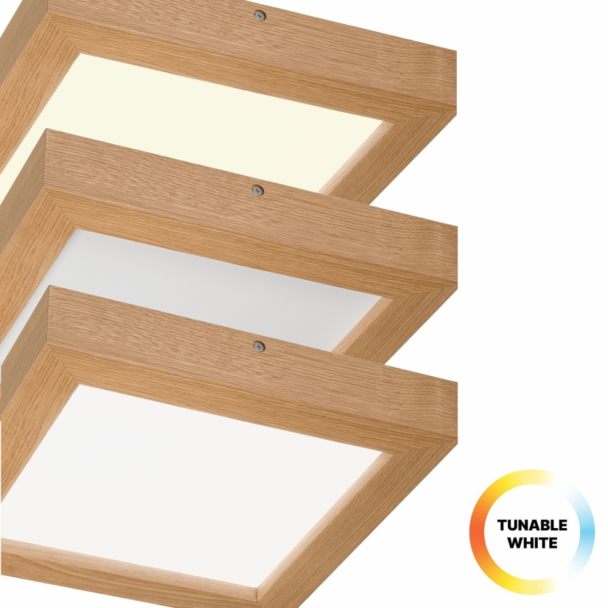 Brilagi - Φωτιστικό οροφής μπάνιου dimming LED WOODY FRAME LED/24W/230V δρυς 30x30 cm 3000-6000K IP44 + τηλεχειριστήριο