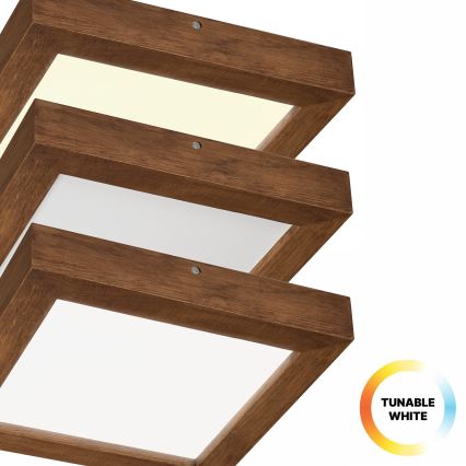 Brilagi - Φωτιστικό οροφής μπάνιου dimming LED WOODY FRAME LED/24W/230V δρυς κερασιά 30x30 cm 3000-6000K IP44 + τηλεχειριστήριο