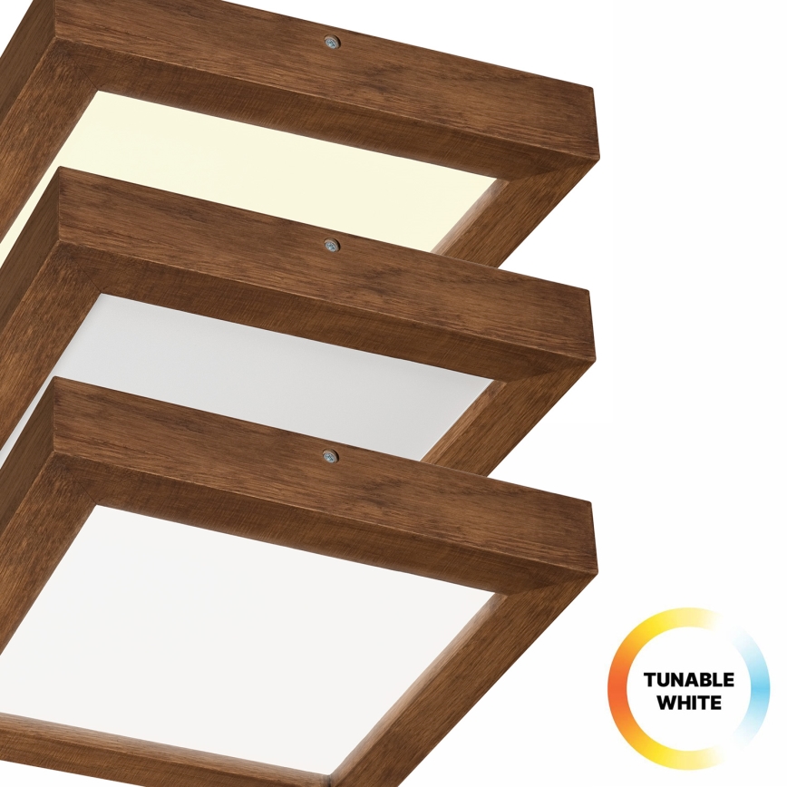 Brilagi - Φωτιστικό οροφής μπάνιου dimming LED WOODY FRAME LED/24W/230V δρυς κερασιά 30x30 cm 3000-6000K IP44 + τηλεχειριστήριο