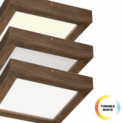 Brilagi - Φωτιστικό οροφής μπάνιου dimming LED WOODY FRAME LED/24W/230V δρυς 30x30 cm 3000-6000K IP44 + τηλεχειριστήριο
