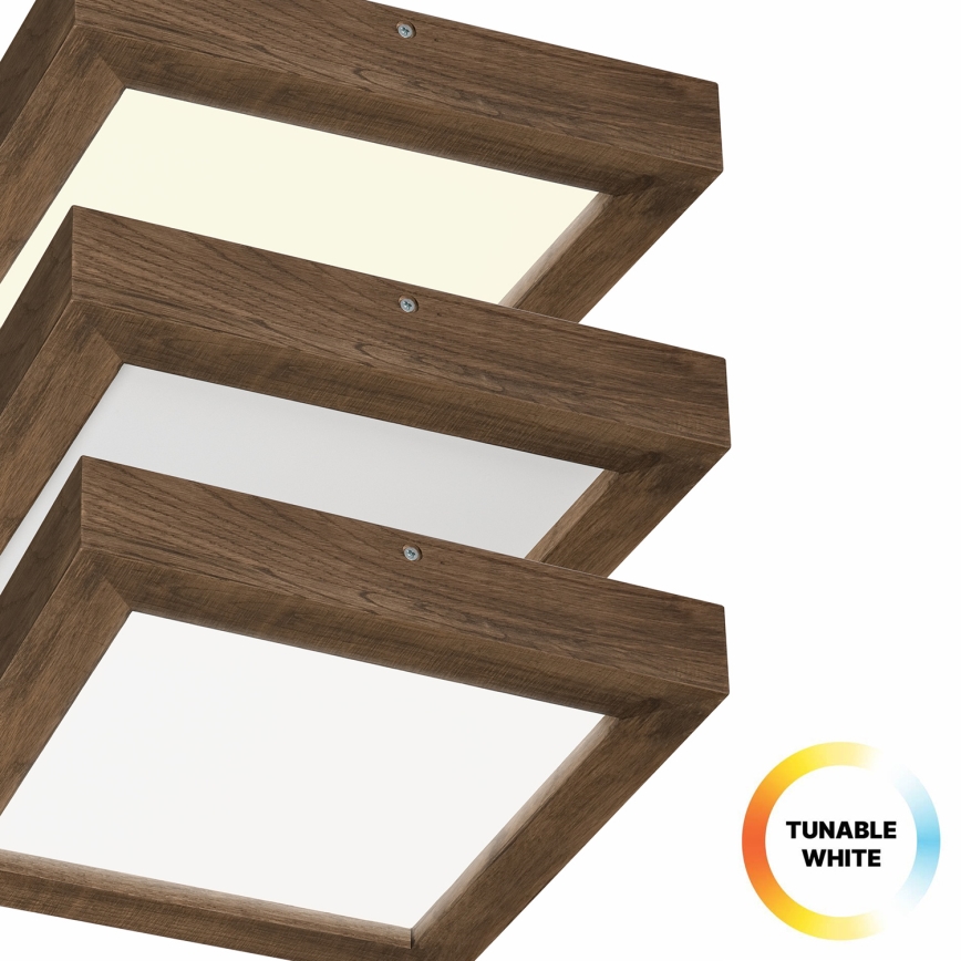 Brilagi - Φωτιστικό οροφής μπάνιου dimming LED WOODY FRAME LED/24W/230V δρυς 30x30 cm 3000-6000K IP44 + τηλεχειριστήριο