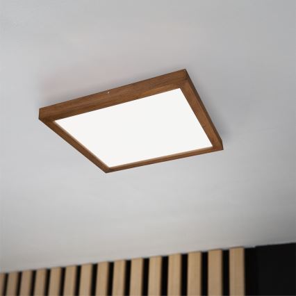 Brilagi - Φωτιστικό οροφής μπάνιου dimming LED WOODY FRAME LED/50W/230V δρυς κερασιά 60x60 cm 3000-6000K IP44 + τηλεχειριστήριο