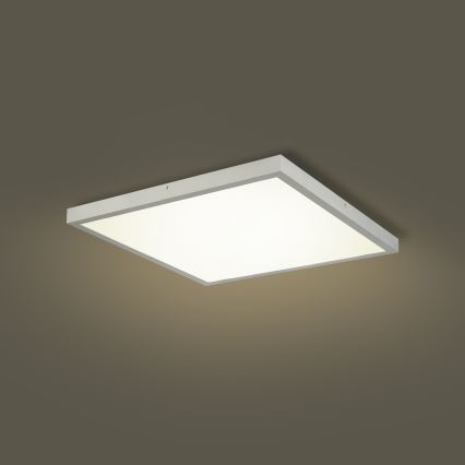 Brilagi - πλαφονιέρα οροφής LED για μπάνιο FRAME LED/50W/230V 3000/4000/6000K 60x60 cm IP44 ασημί