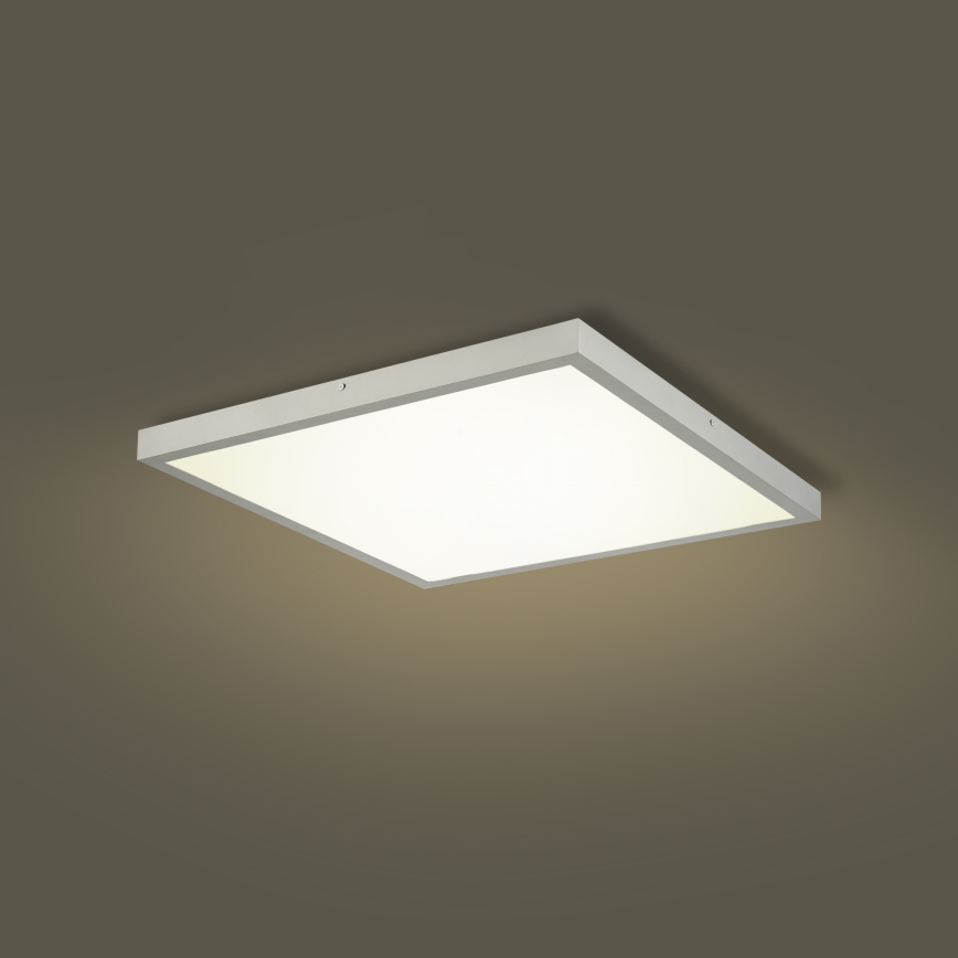 Brilagi - πλαφονιέρα οροφής LED για μπάνιο FRAME LED/50W/230V 3000/4000/6000K 60x60 cm IP44 ασημί