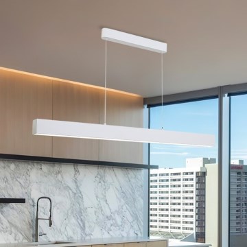 Brilagi - LED φωτιστικό οροφής με καλώδιο SLEEKLINE LED/40W/230V 3000/4500/6000K λευκό