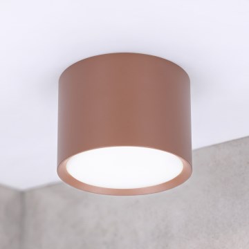 BRILAGI - Σημειακό φωτιστικό SMOOTH 1xGX53/15W/230V 60x82 mm καφέ