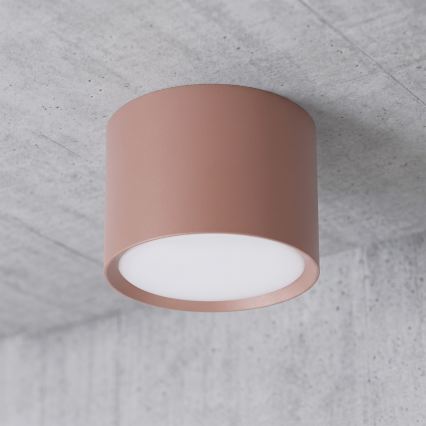 BRILAGI - Σημειακό φωτιστικό SMOOTH 1xGX53/15W/230V 60x82 mm καφέ