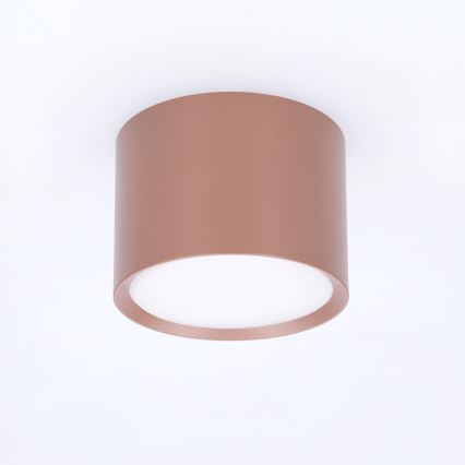 BRILAGI - Σημειακό φωτιστικό SMOOTH 1xGX53/15W/230V 60x82 mm καφέ