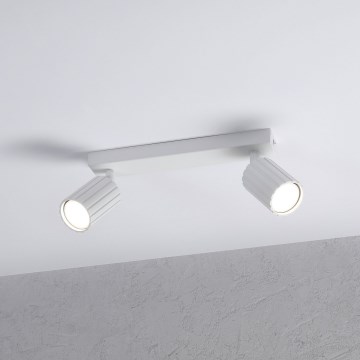Brilagi - Σποτ φωτιστικό CRISPINA 2xGU10/10W/230V λευκό