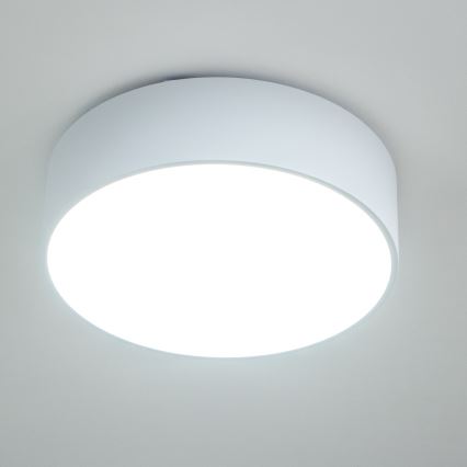 Brilagi - Πλαφονιέρα μπάνιου POOL, 3xE27/15W/230V, Ø 40 cm, IP54, λευκή