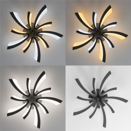 Brilagi - Πλαφονιέρα οροφής ντιμαριζόμενη LED TWIST LED/55W/230V 3000-6500K ανθρακί + τηλεχειριστήριο