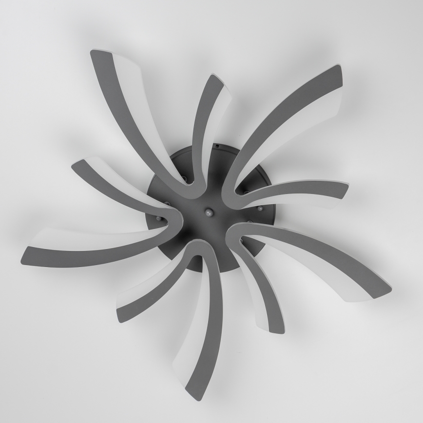 Brilagi - Πλαφονιέρα οροφής ντιμαριζόμενη LED TWIST LED/55W/230V 3000-6500K ανθρακί + τηλεχειριστήριο