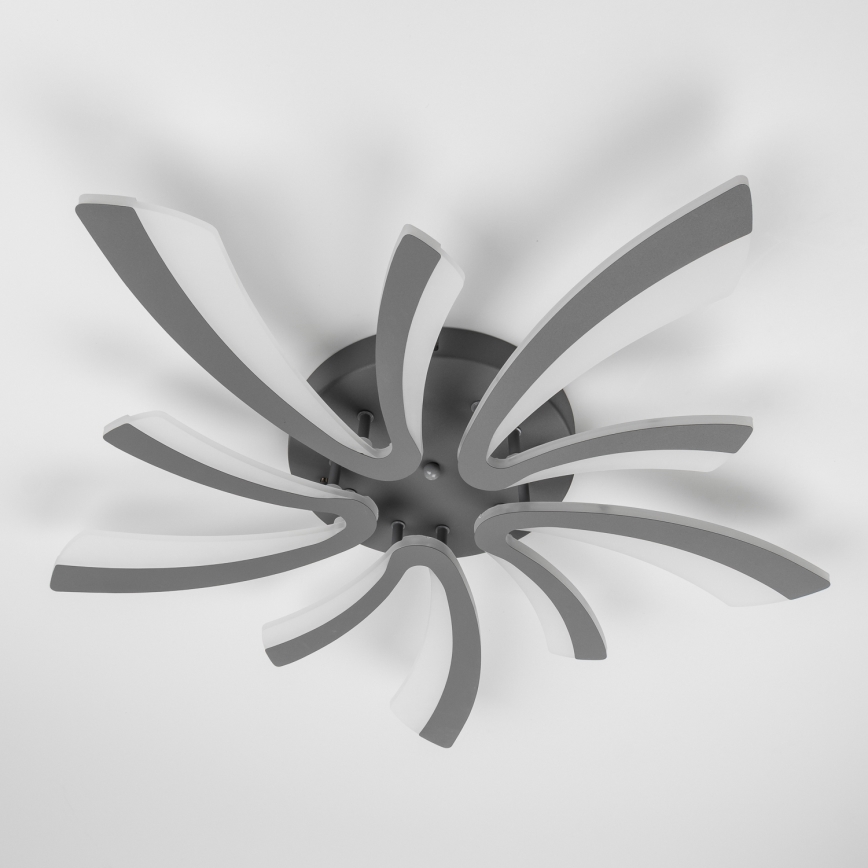 Brilagi - Πλαφονιέρα οροφής ντιμαριζόμενη LED TWIST LED/55W/230V 3000-6500K ανθρακί + τηλεχειριστήριο