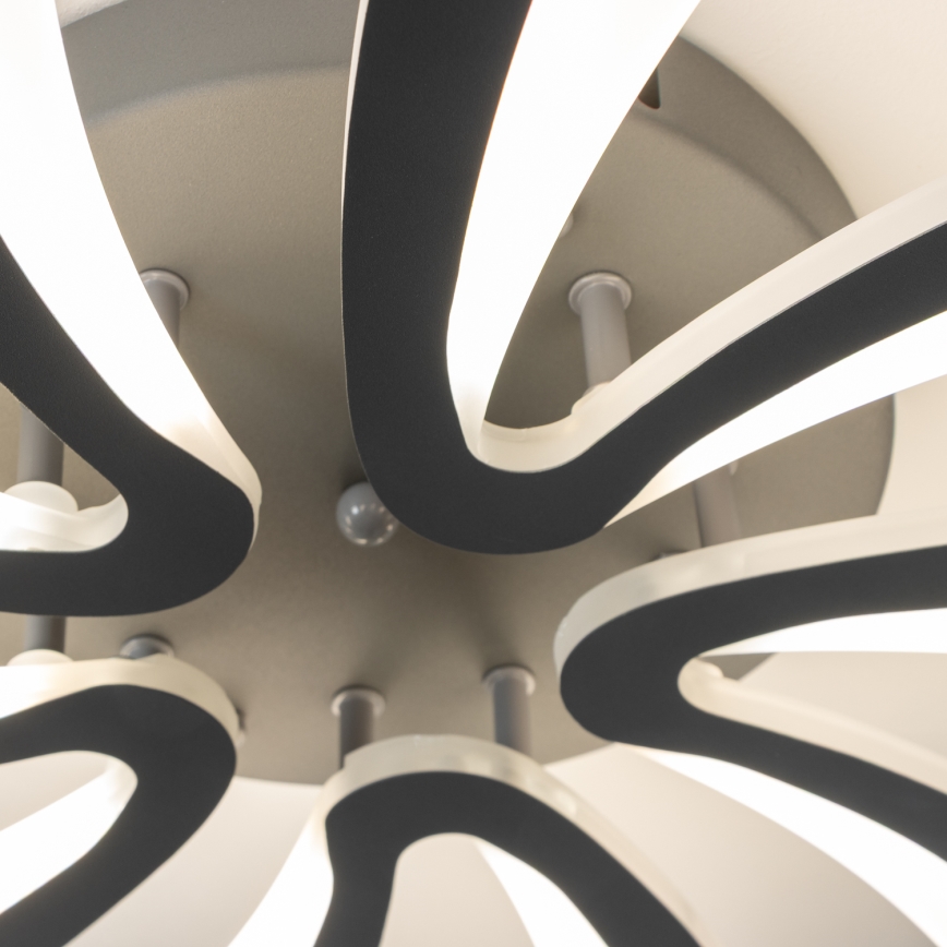 Brilagi - Πλαφονιέρα οροφής ντιμαριζόμενη LED TWIST LED/55W/230V 3000-6500K ανθρακί + τηλεχειριστήριο