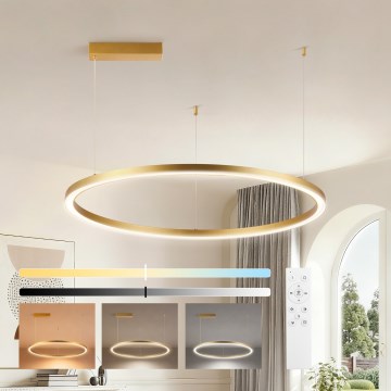 Brilagi - PORTOFINO LED κρεμαστό φωτιστικό ρυθμιζόμενης φωτεινότητας, LED 60 W, 230 V, θερμοκρασία χρώματος 3000–6000 K, διάμετρος 80 cm, χρυσό + τηλεχειριστήριο