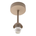 BRILAGI - Προσαρτημένο φωτιστικό οροφής PARTY 1xE14/60W/230V μπεζ