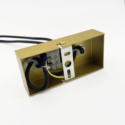 Brilagi - Πολυέλαιος με καλώδιο ανάρτησης MALONY 6xE14/20W/230V χρυσός