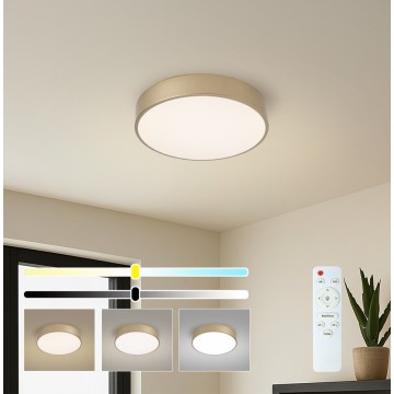 Brilagi - Ρυθμιζόμενη πλαφονιέρα LED POOL LED/36W/230V 3000-6000K, διάμ. 30 cm, σε χρυσό + τηλεχειριστήριο