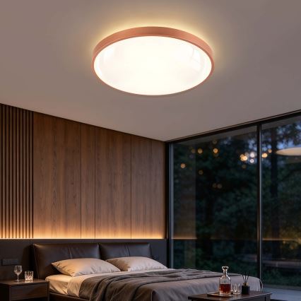 BRILAGI - Ρυθμιζόμενο φωτιστικό οροφής GLASS POOL DOUBLE LED/80W/230V Ø 60 cm χάλκινο + τηλεχειριστήριο