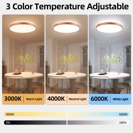 BRILAGI - Ρυθμιζόμενο φωτιστικό οροφής GLASS POOL DOUBLE LED/80W/230V Ø 60 cm χάλκινο + τηλεχειριστήριο