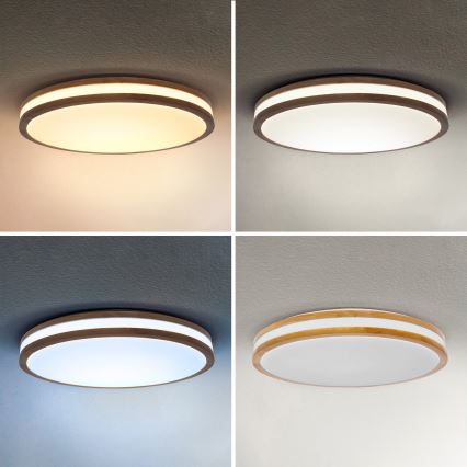 Brilagi - LED ρυθμιζόμενο φωτιστικό οροφής MOLINA LED/60W/230V 3000-6500K σε απόχρωση δρυός, διάμετρος 58 cm + τηλεχειριστήριο
