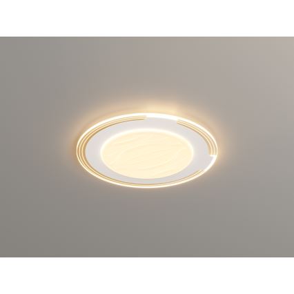 Brilagi - Ρυθμιζόμενο LED φωτιστικό οροφής ORELIS LED/80W/230V 3000-6000K Ø 50 εκ. + τηλεχειριστήριο