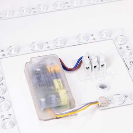 Brilagi - Ρυθμιζόμενο φωτιστικό οροφής LED PILANA LED/48W/230V 3000-6500K δρυς/λευκό 42x42 cm + τηλεχειριστήριο
