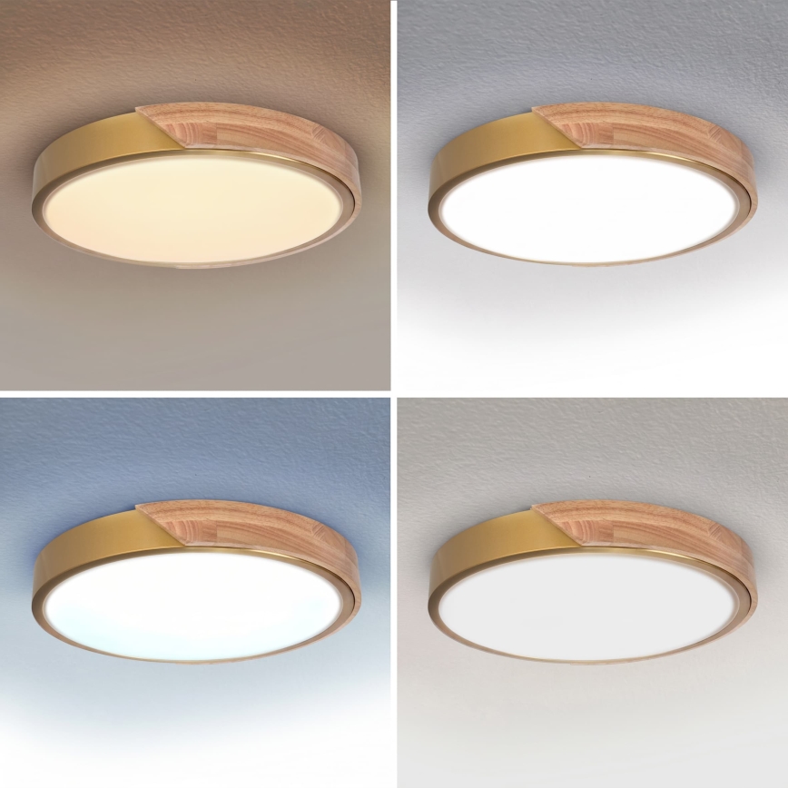 BRILAGI - LED ρυθμιζόμενο φωτιστικό οροφής PILANA LED/48W/230V 3000-6500K δρυς/χρυσό Ø 40 cm + τηλεχειριστήριο