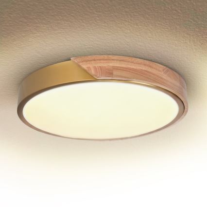 BRILAGI - LED ρυθμιζόμενο φωτιστικό οροφής PILANA LED/48W/230V 3000-6500K δρυς/χρυσό Ø 40 cm + τηλεχειριστήριο