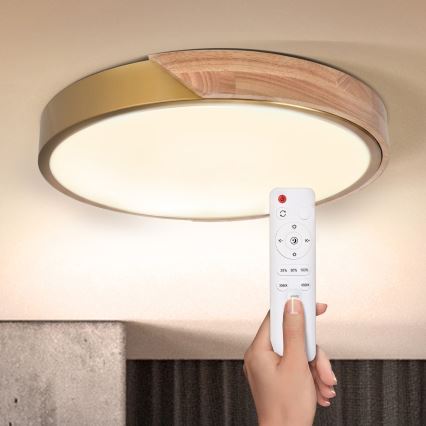 BRILAGI - LED ρυθμιζόμενο φωτιστικό οροφής PILANA LED/48W/230V 3000-6500K δρυς/χρυσό Ø 40 cm + τηλεχειριστήριο