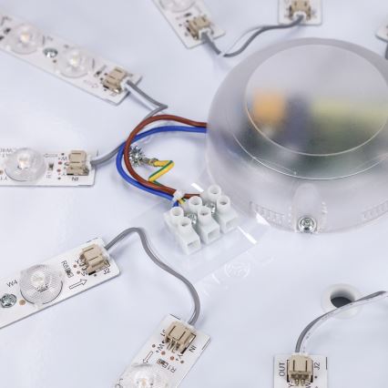 Brilagi - Ρυθμιζόμενο LED φωτιστικό οροφής PILANA LED/72W/230V 3000-6500K δρυς/μαύρο διάμ. 80 cm + τηλεχειριστήριο