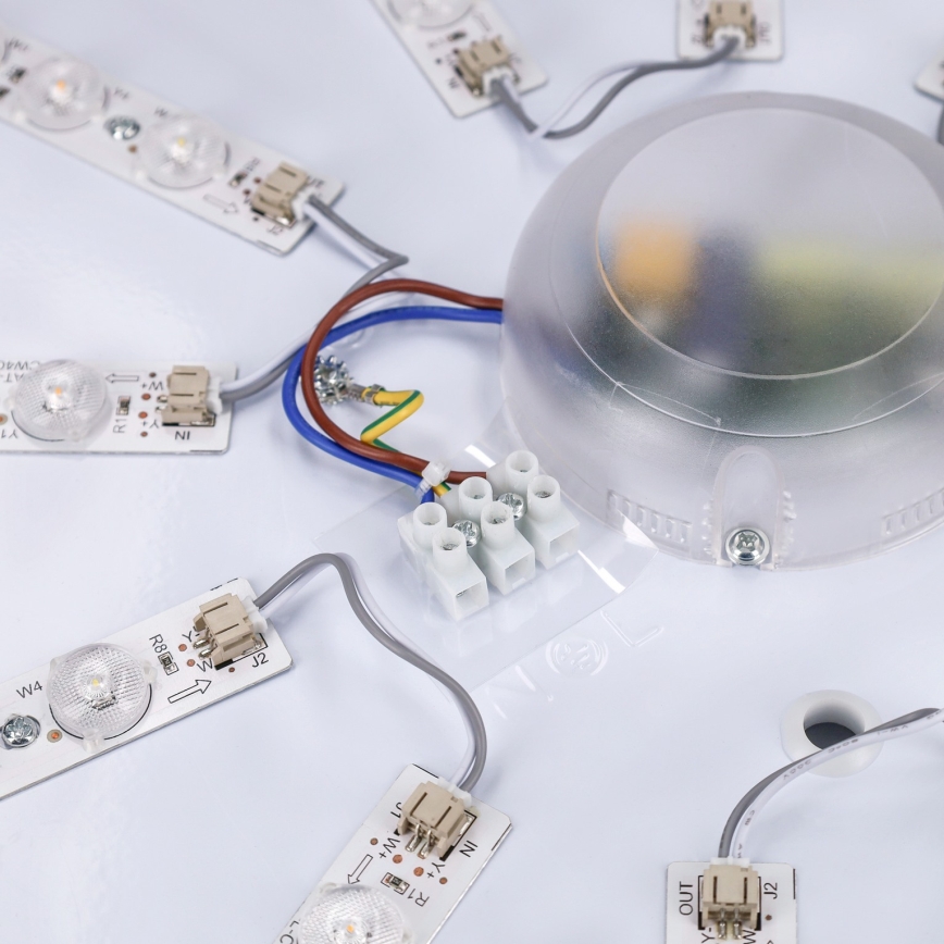 Brilagi - Ρυθμιζόμενο LED φωτιστικό οροφής PILANA LED/72W/230V 3000-6500K δρυς/μαύρο διάμ. 80 cm + τηλεχειριστήριο