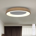 BRILAGI - Ρυθμιζόμενο φωτιστικό οροφής DORIA LED/60W/230V 3000-6500K διάμ. 60 cm + τηλεχειριστήριο
