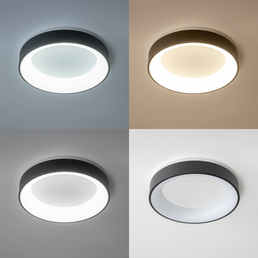 Brilagi - Ρυθμιζόμενο LED φωτιστικό οροφής FALCON LED/80W/230V 3000-6500K διάμ. 60 cm μαύρο + τηλεχειριστήριο