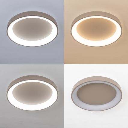 BRILAGI - ρυθμιζόμενο LED φωτιστικό οροφής FALCON II LED/99W/230V 3000-6500K pr. 60 cm μπεζ + με τηλεχειριστήριο